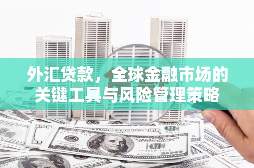 余干外汇贷款，全球金融市场的关键工具与风险管理策略