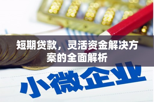 福贡短期贷款，灵活资金解决方案的全面解析