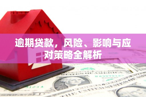 贞丰逾期贷款，风险、影响与应对策略全解析
