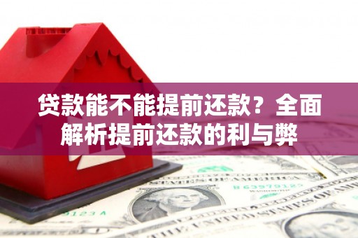 德惠贷款能不能提前还款？全面解析提前还款的利与弊