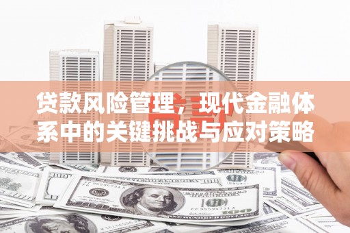 临海贷款风险管理，现代金融体系中的关键挑战与应对策略