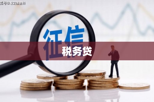 中堂税务贷