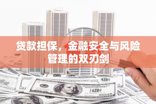 固阳贷款担保，金融安全与风险管理的双刃剑