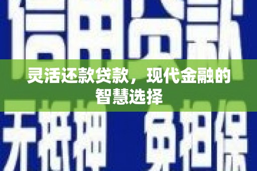 新昌灵活还款贷款，现代金融的智慧选择