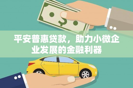 聂拉木平安普惠贷款，助力小微企业发展的金融利器