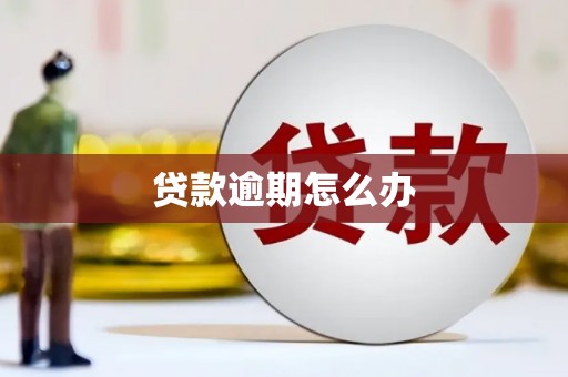 通霄贷款逾期怎么办