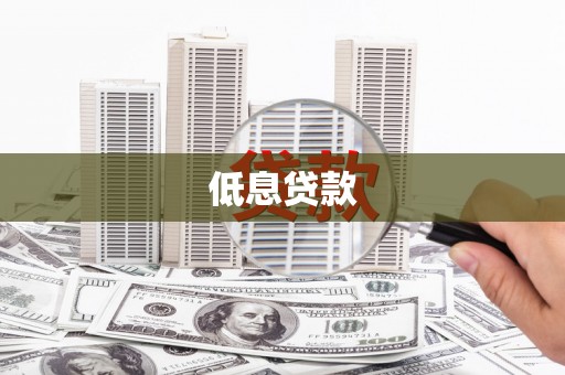 柳城低息贷款