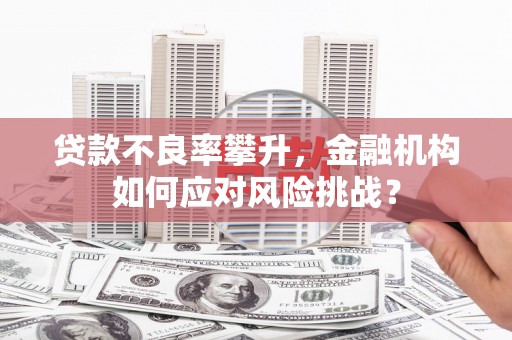 景东贷款不良率攀升，金融机构如何应对风险挑战？