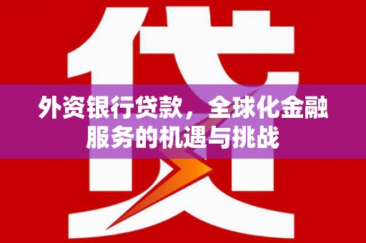 舟曲外资银行贷款，全球化金融服务的机遇与挑战