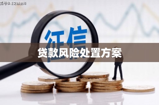 成功贷款风险处置方案
