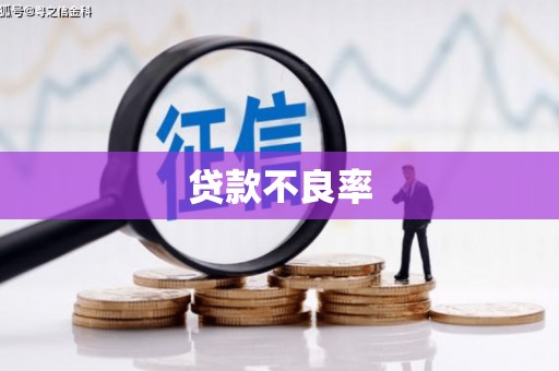 涵江贷款不良率
