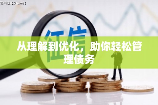崖州从理解到优化，助你轻松管理债务