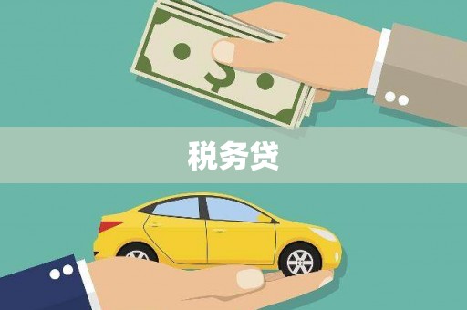 沈丘税务贷