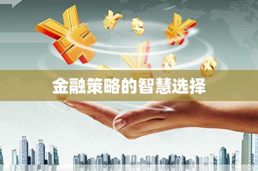 兰西金融策略的智慧选择