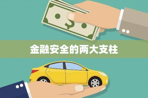 海原金融安全的两大支柱