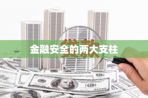 台西金融安全的两大支柱