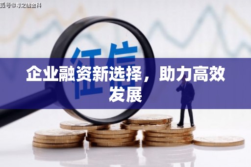 凤凰企业融资新选择，助力高效发展