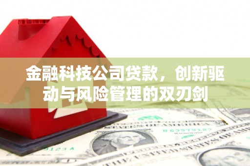 班玛金融科技公司贷款，创新驱动与风险管理的双刃剑